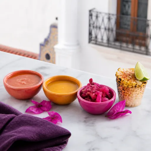 An elegant city travel guide on where to go in Mexico City